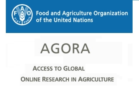 agora 2